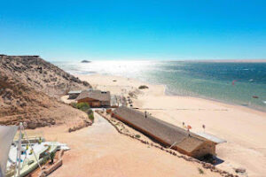 Wildlife and Nature in Dakhla: A Haven for Birdwatchers